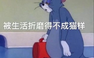 陷入爱情文案沙雕，陷入爱情文案沙雕句子