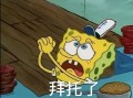 毛豆的沙雕文案，毛豆的沙雕文案怎么写