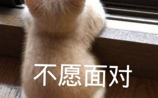 跳舞人文案沙雕，跳舞人文案沙雕搞笑