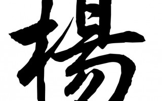 杨叔恶搞视频，杨叔恶搞视频大全