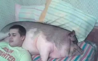 恶搞视频抓猪，抓猪搞笑视频
