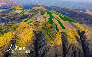 山西省内春季游玩攻略，山西省内春季游玩攻略路线