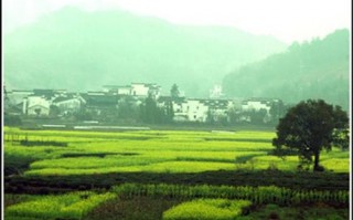 冬季婺源游玩攻略，冬季婺源游玩攻略大全